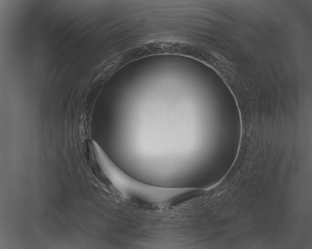 X0000083551014200702240105