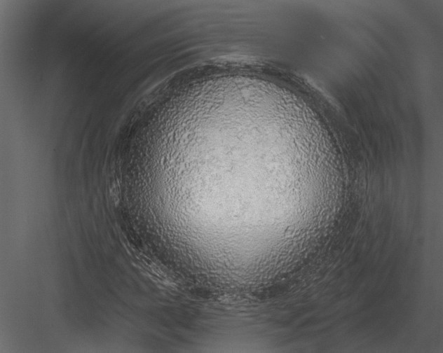 X0000083551015200702240105