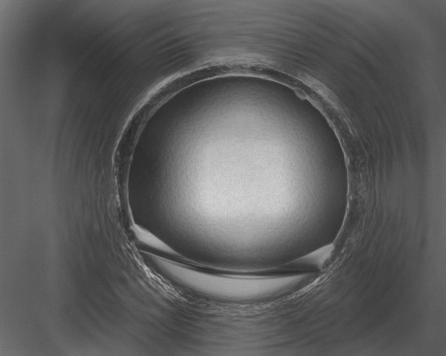 X0000083551022200702240105