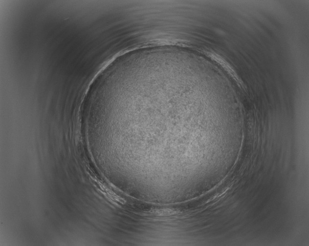 X0000083551023200702240105