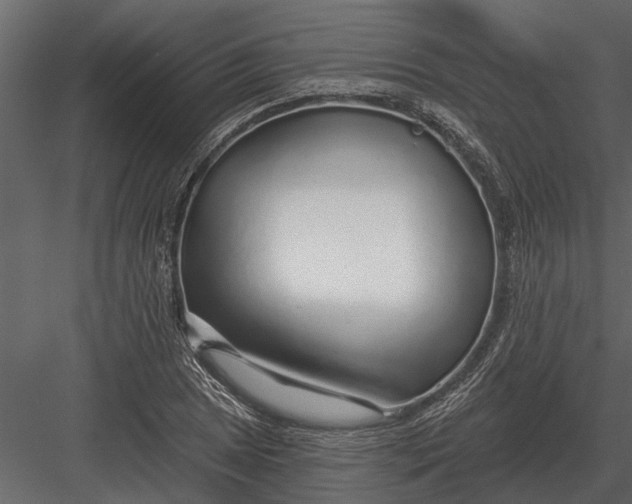 X0000083551025200702240105