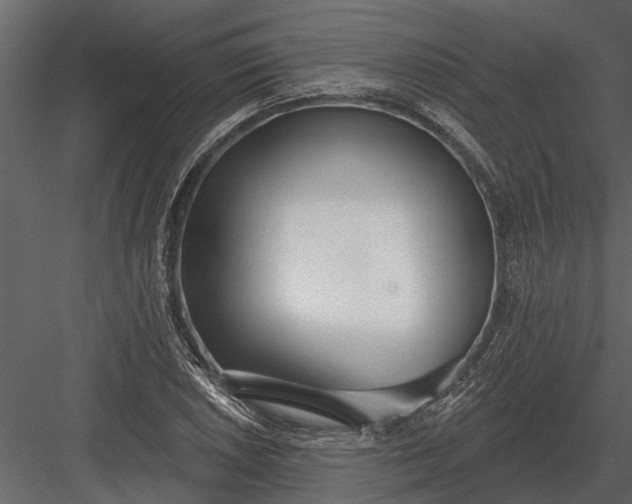 X0000083551026200702240105