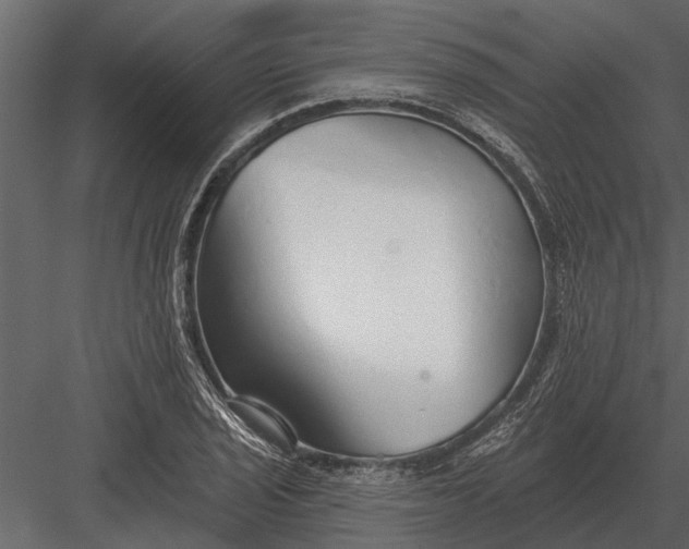 X0000083551029200702240106