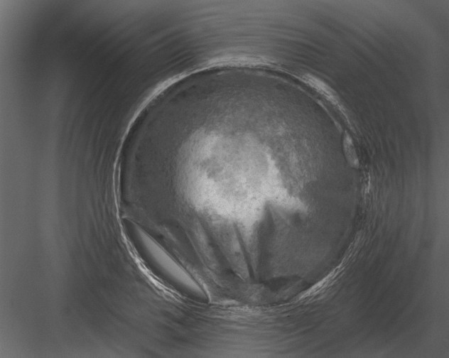 X0000083551030200702240106