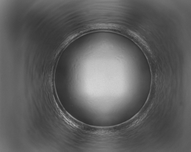 X0000083551033200702240106