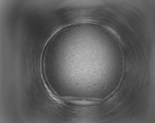 X0000083551039200702240106