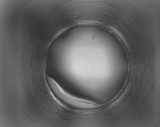 X0000083551041200702240106