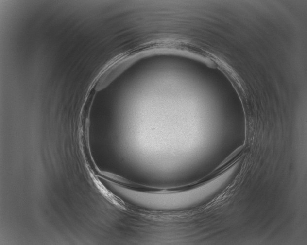 X0000083551042200702240106