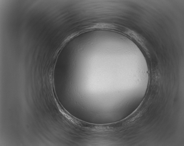 X0000083551049200702240106
