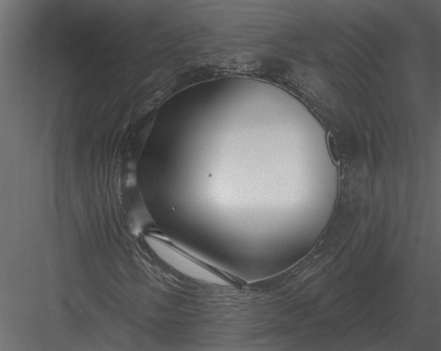 X0000083551058200702240105