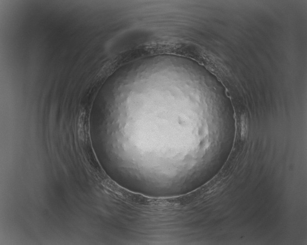 X0000083551059200702240105