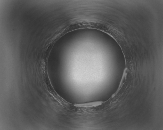 X0000083551061200702240105
