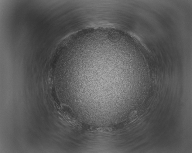 X0000083551063200702240105