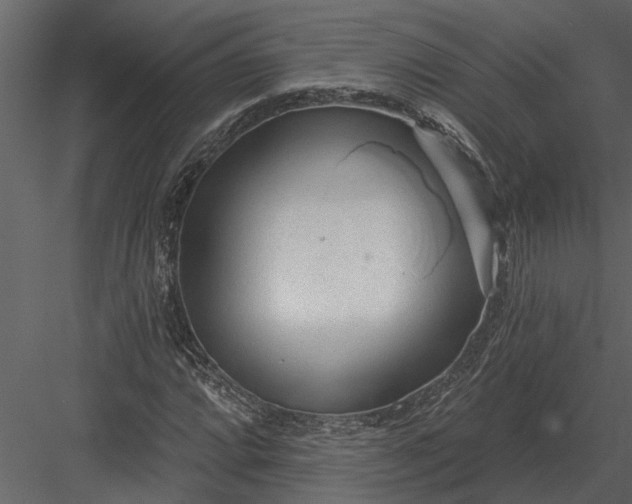 X0000083551064200702240105