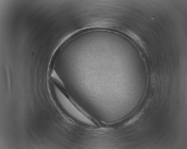 X0000083551077200702240105