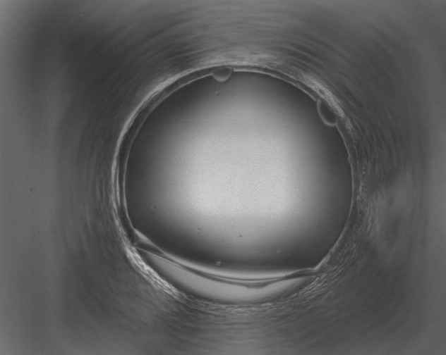 X0000083551080200702240105