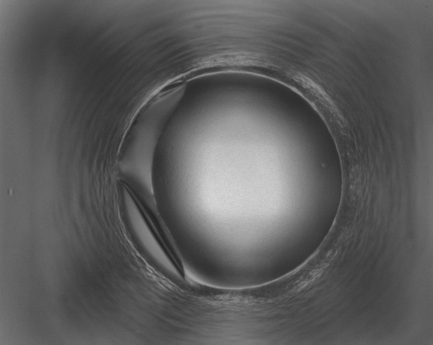 X0000083551081200702240105