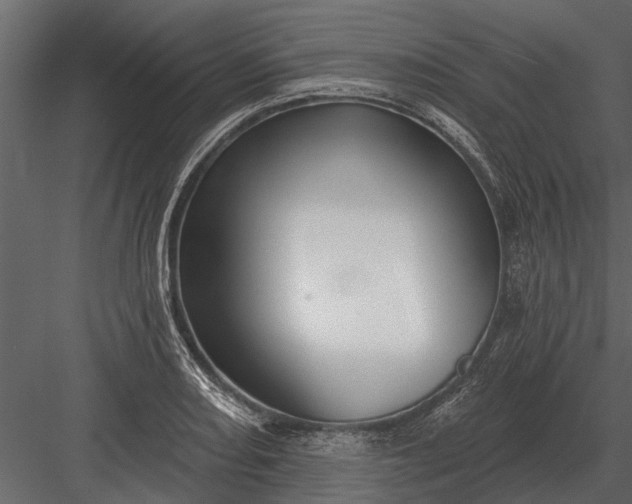 X0000083551082200702240105