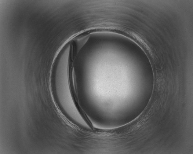 X0000083551085200702240105