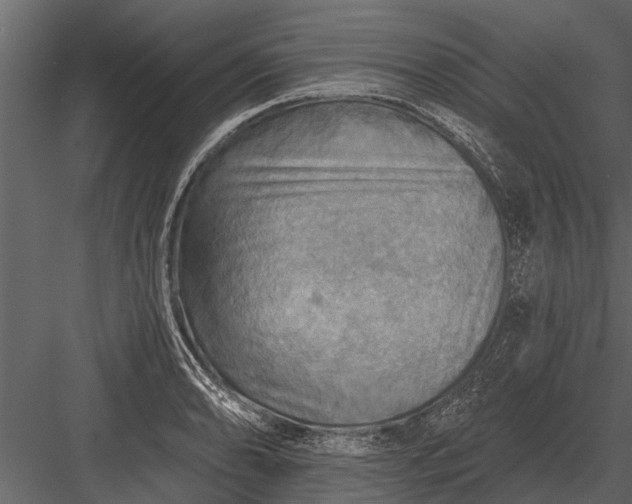 X0000083551086200702240105