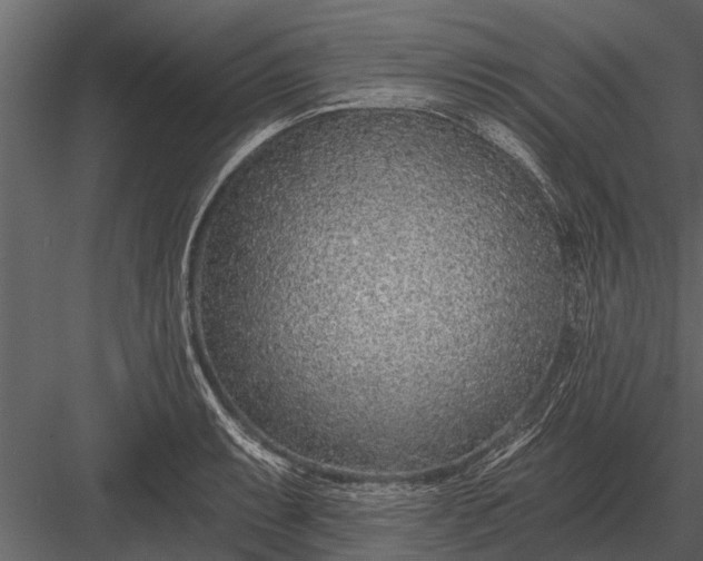 X0000083551087200702240105
