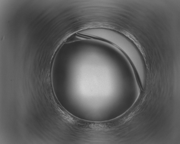 X0000083551089200702240105