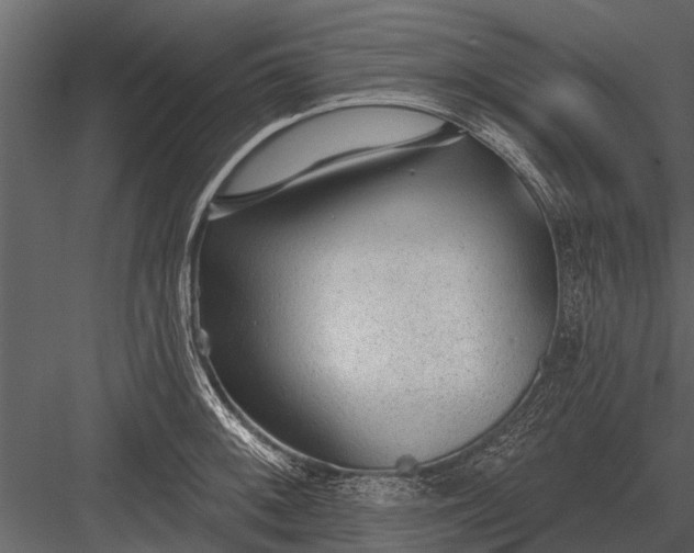 X0000083551092200702240105