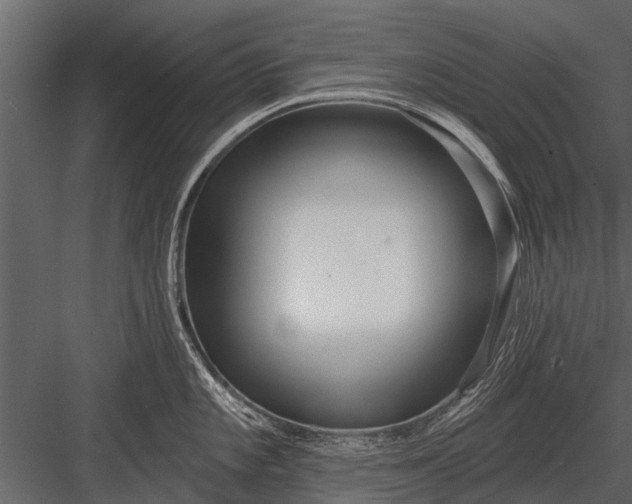 X0000083551101200702240104