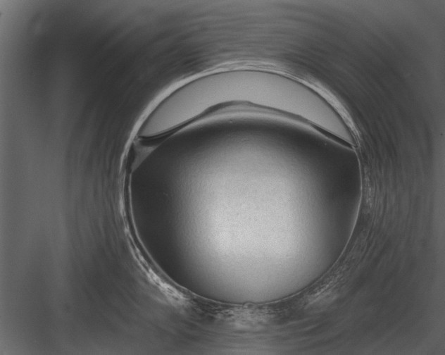 X0000083551102200702240104