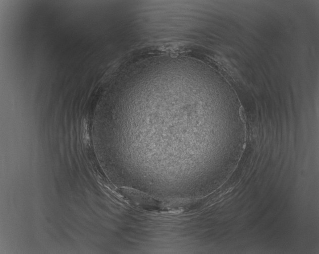 X0000083551106200702240104