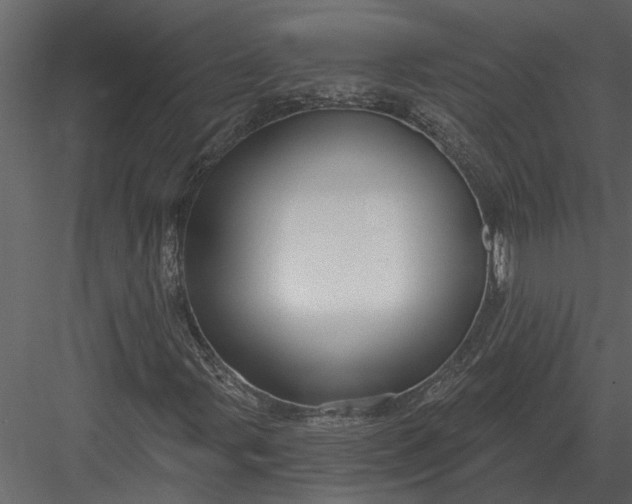X0000083551107200702240104