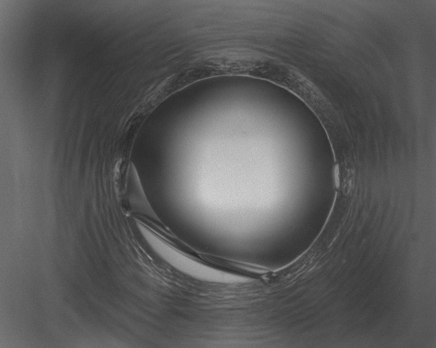 X0000083551108200702240104
