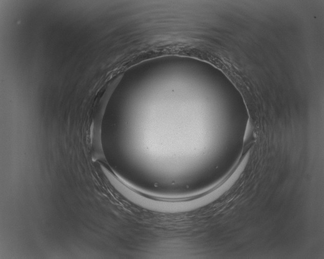 X0000083551109200702240104