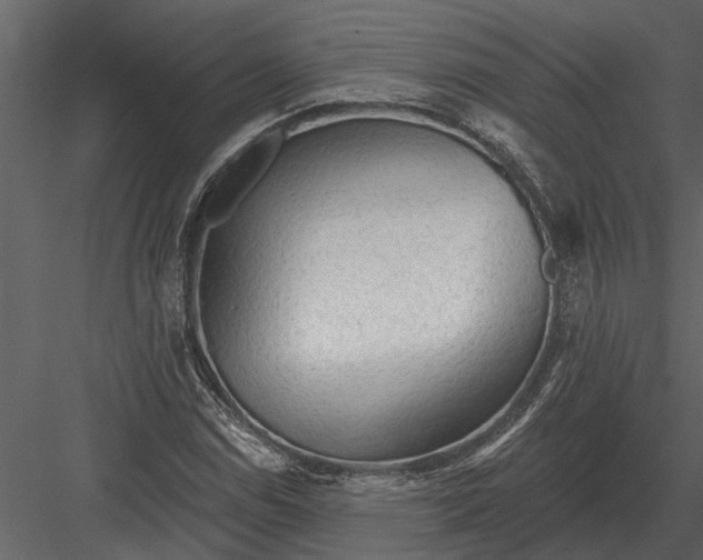 X0000083551114200702240104
