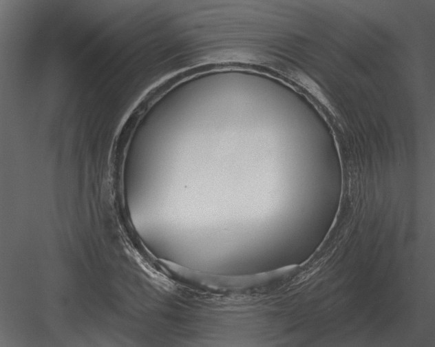 X0000083551116200702240104