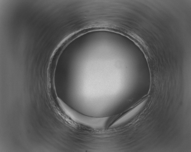 X0000083551120200702240104