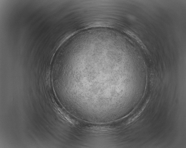 X0000083551121200702240104