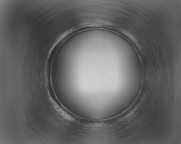 X0000083551122200702240104