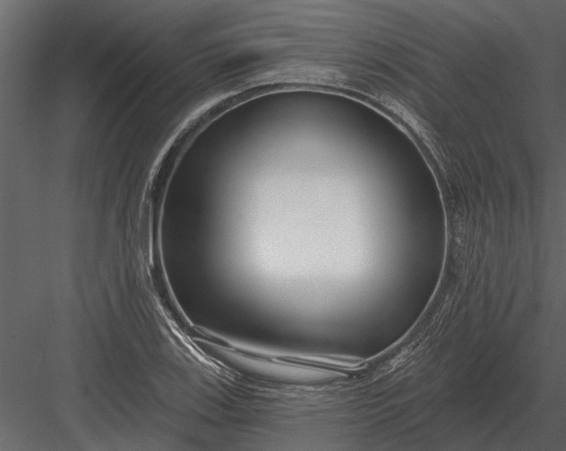 X0000083551123200702240104