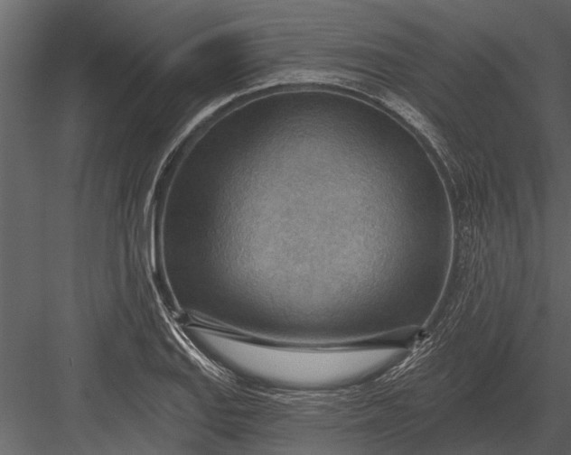 X0000083551127200702240104