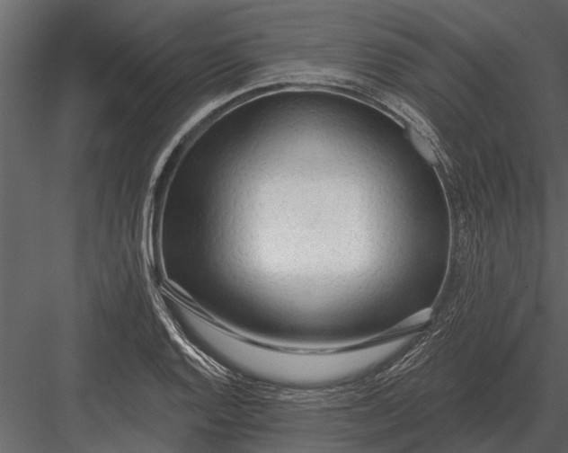 X0000083551128200702240104
