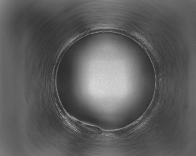 X0000083551129200702240104