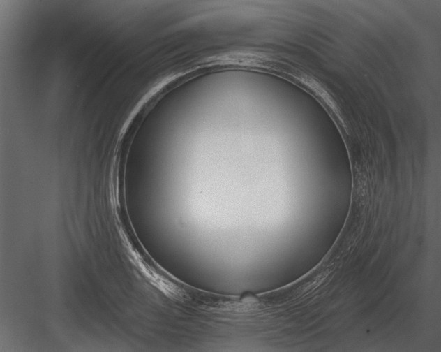 X0000083551131200702240104