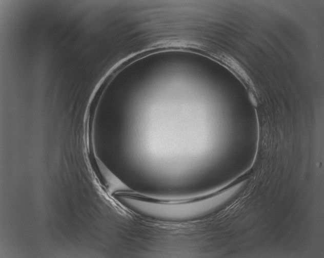 X0000083551132200702240104
