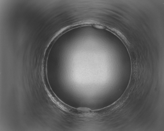 X0000083551134200702240104