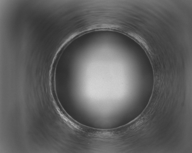 X0000083551135200702240104