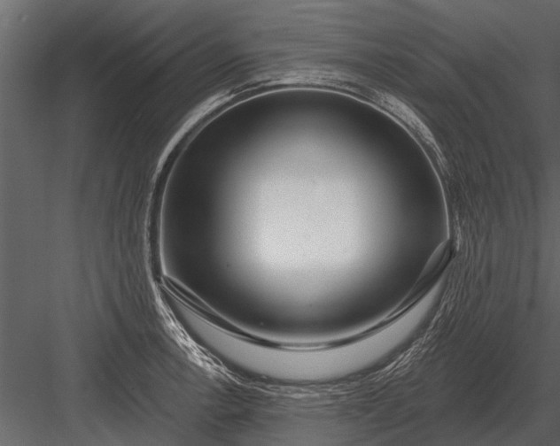 X0000083551138200702240104