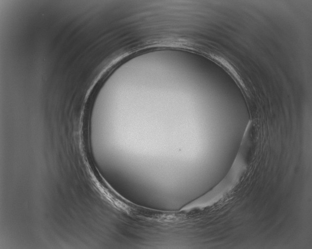 X0000083551139200702240104