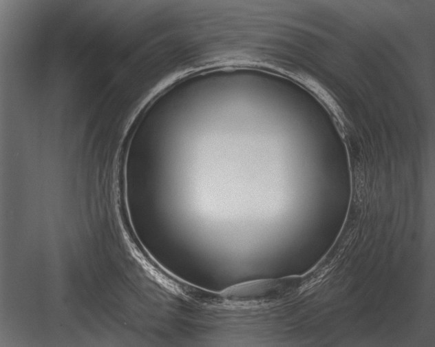 X0000083551142200702240104