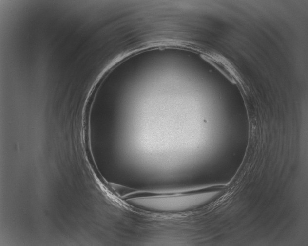 X0000083551143200702240104